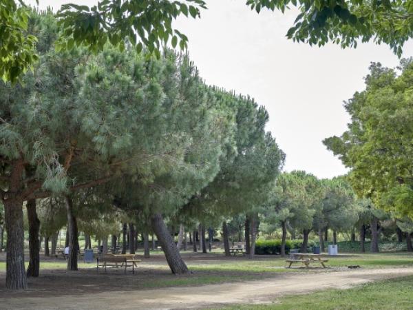 Jugateca del parc Nou: Civisme al parc