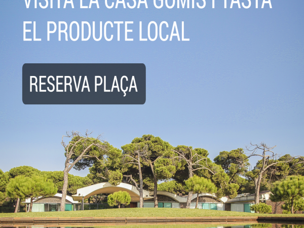 Instagram formato standar.png