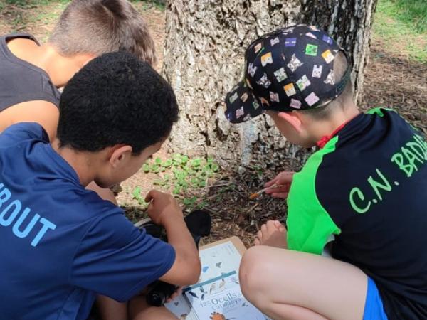JUGATECA DEL PARC DEL RIU: CEWNS DE TARDOR