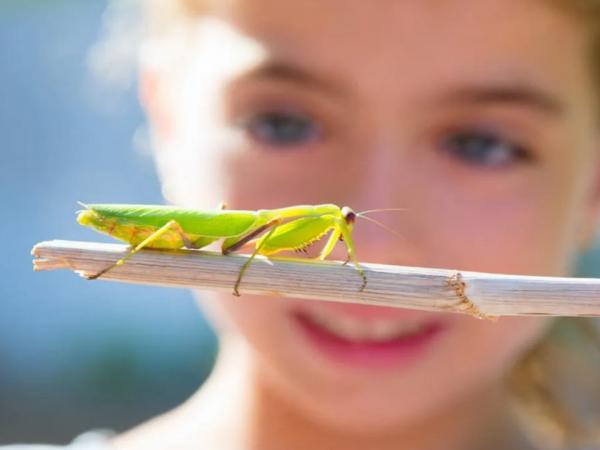 Jugateca Ambiental. El safari fotogràfic