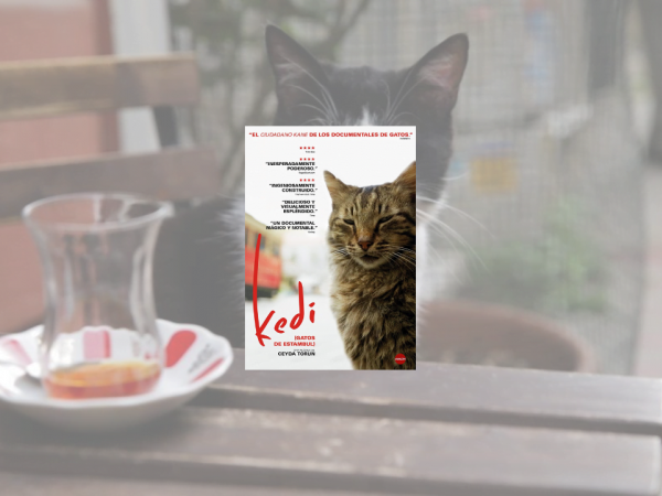 Cicle documental. “Kedi (Gatos de Estambul)”