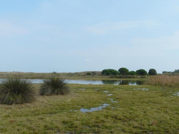 Visita guiada a la Maresma de les Filipines