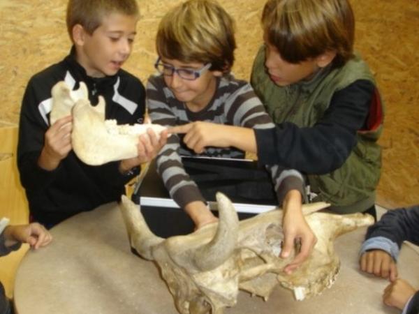 Taller familiar: Objectiu: Neolític!