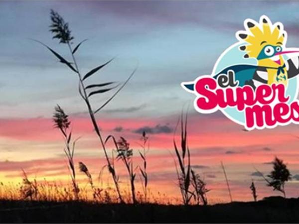 Nit de jocs familiar ACTIVITAT NOCTURNA