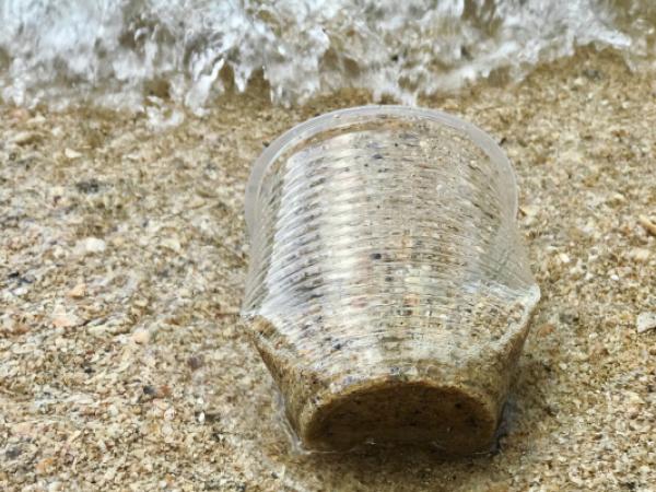 NOVA JUGATECA A LA PLATJA: Experimentem amb els microplàstics