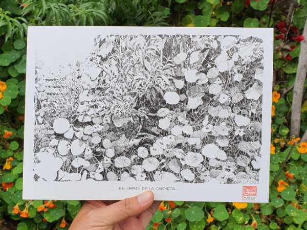 Urban sketching: Dibuixem la biodiversitat del jardí de papallones