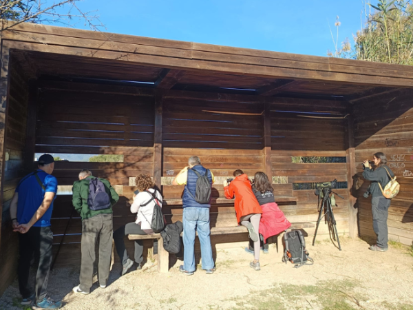 Sortida guiada: Can Dimoni, interpretació i anellament d'ocells