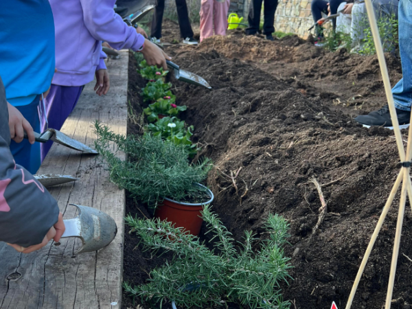 Setmana de la Natura: Taller de plantació
