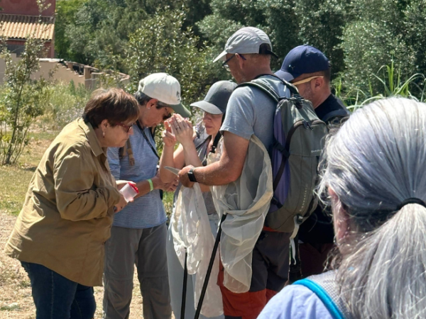 Setmana de la Natura: Itinerari per observar Papallones