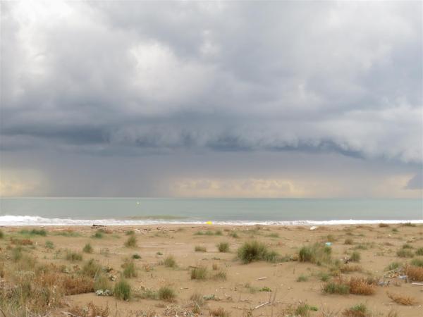 Netegem la platja de Ca l’Arana