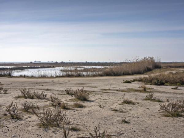 Vols conèixer la platja de Ca l'Arana?