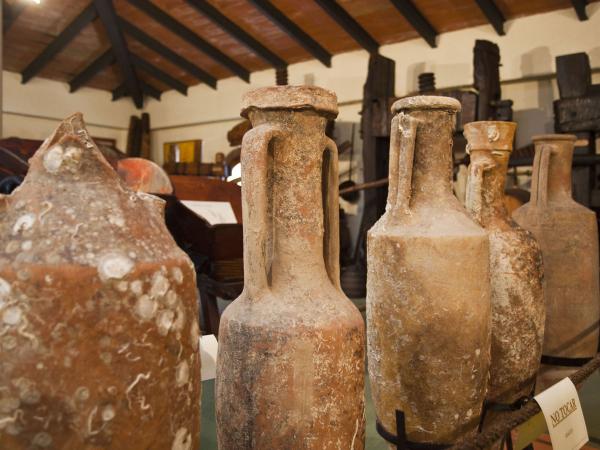 VISITA AL CELLER I MUSEU DEL VI RAMON CANALS