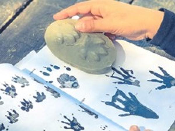 DIA MUNDIAL DE LA BIODIVERSITAT A L’ESPAI NATURAL DEL REMOLAR-FILIPINES