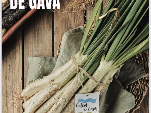 RUTA DEL CALÇOT DE GAVÀ