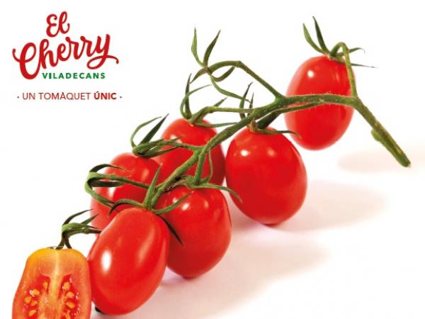 Presentació del tomàquet Cherry de Viladecans