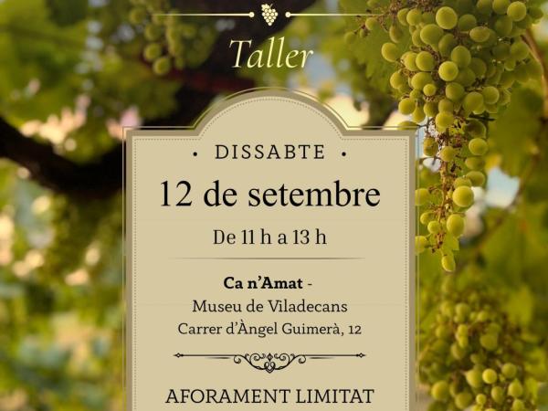 Taller de verema