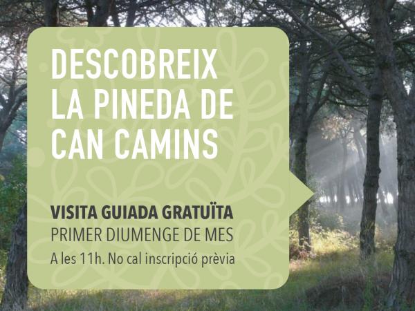 Visita guiada a la Pineda de Can Camins