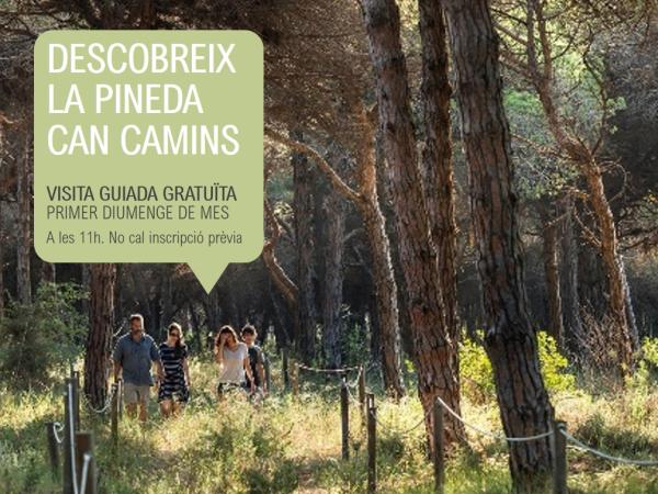  Visita guiada a la Pineda de Can Camins