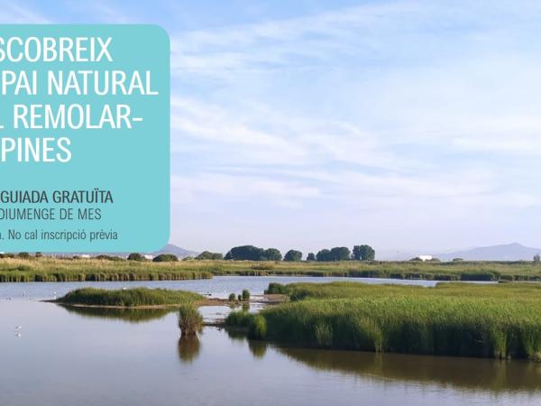 Visita guiada a l’Espai Natural del Remolar-Filipines