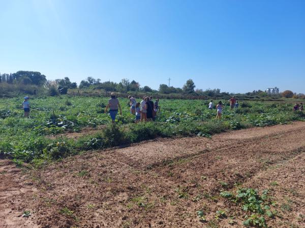 SABORS AMB ARRELS: EL TERROIR DE VILADECANS. Visita a pagès i tast de temporada a la finca Les Marines d’en Tugas