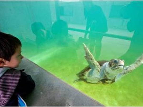 Visita guiada al CRAM