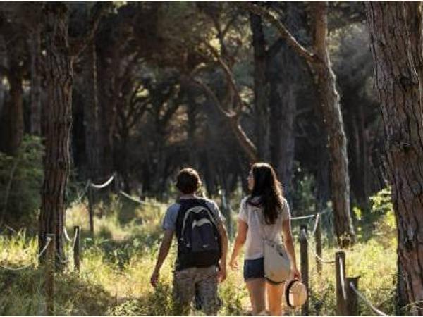 Jornada de descoberta Visita Guiada Pineda de Can Camins_El Prat de Llobregat