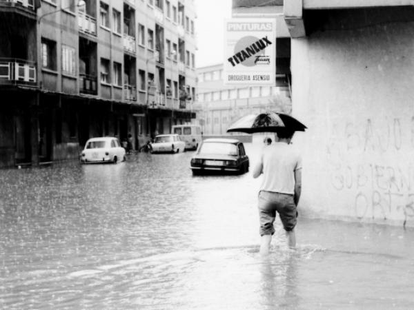 Visita guiada a l'exposició La força de la natura de Juan José Pérez Abad