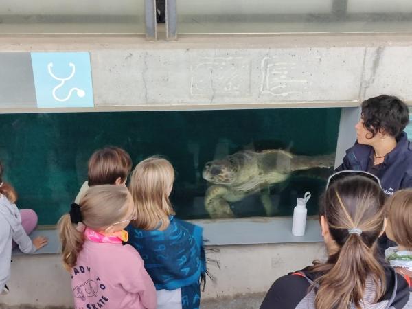 Realitzada la jornada de neteja de platja del Prat organitzada pel SostiBaix