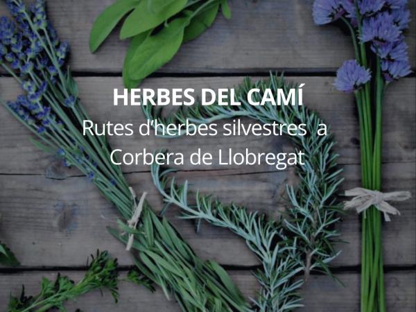 Ajuntament de Corbera de Llobregat