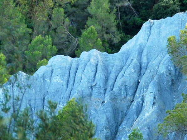 Visita a l'entorn natural de Can Roca i les Roques Blaves d'Esparreguera