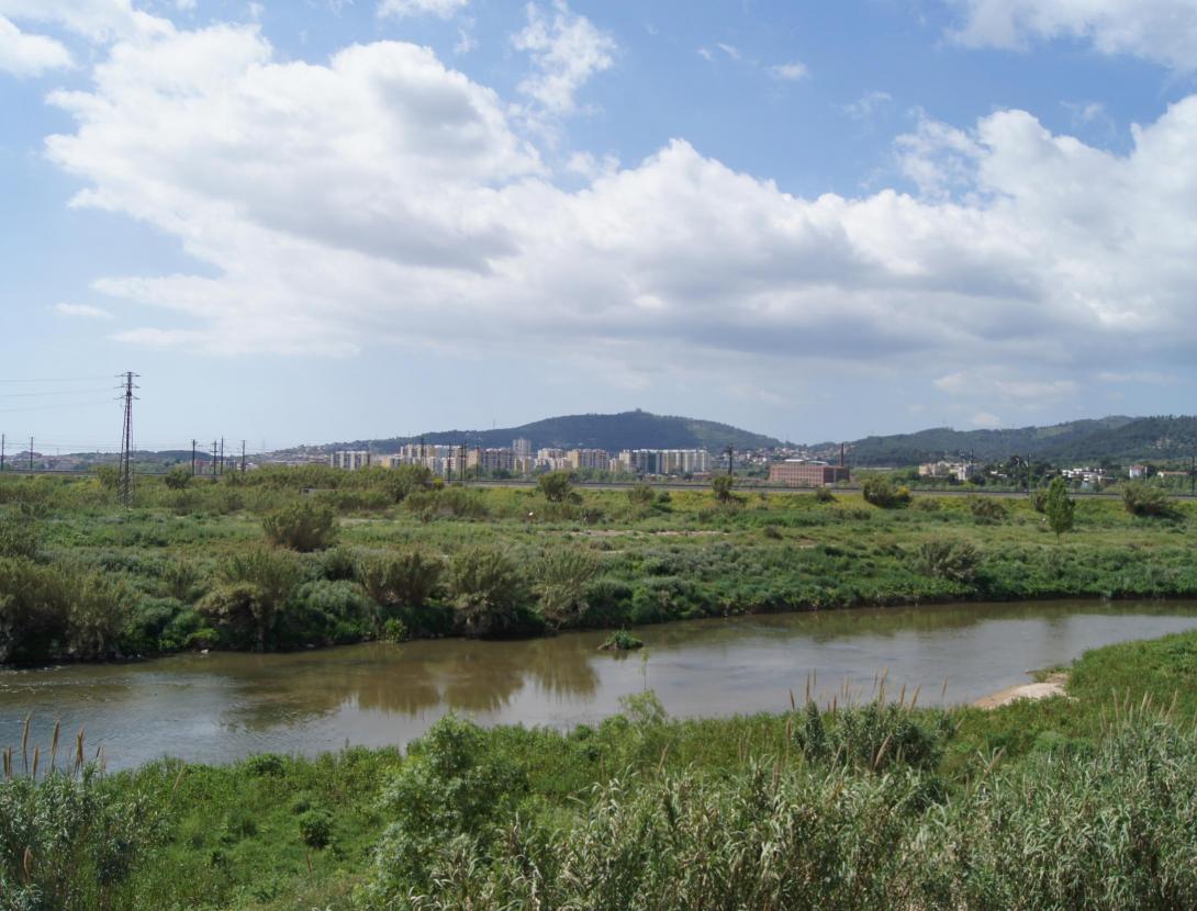 Caminada cultural: el riu Llobregat