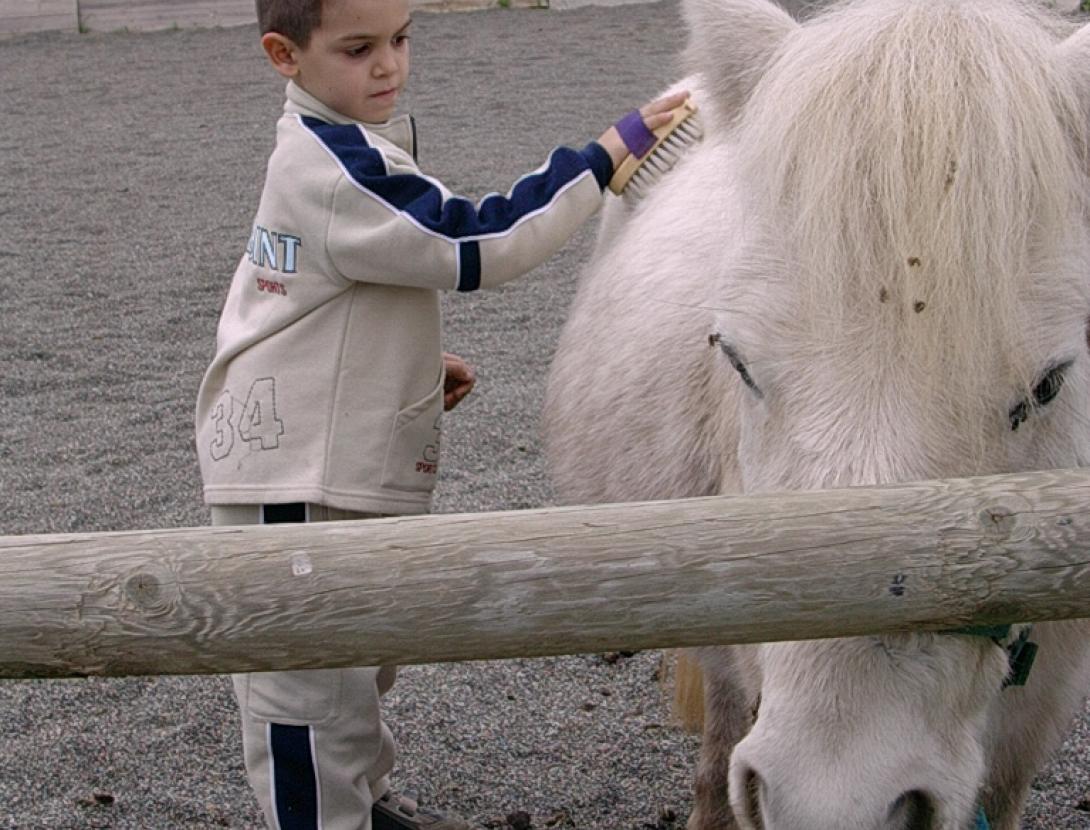 Hipica-Escoles 091.jpg