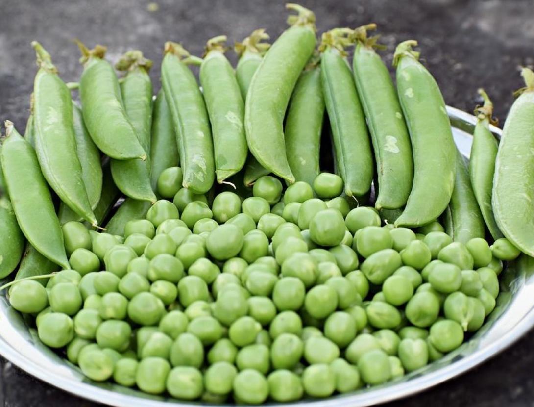 Cuinem per al planeta