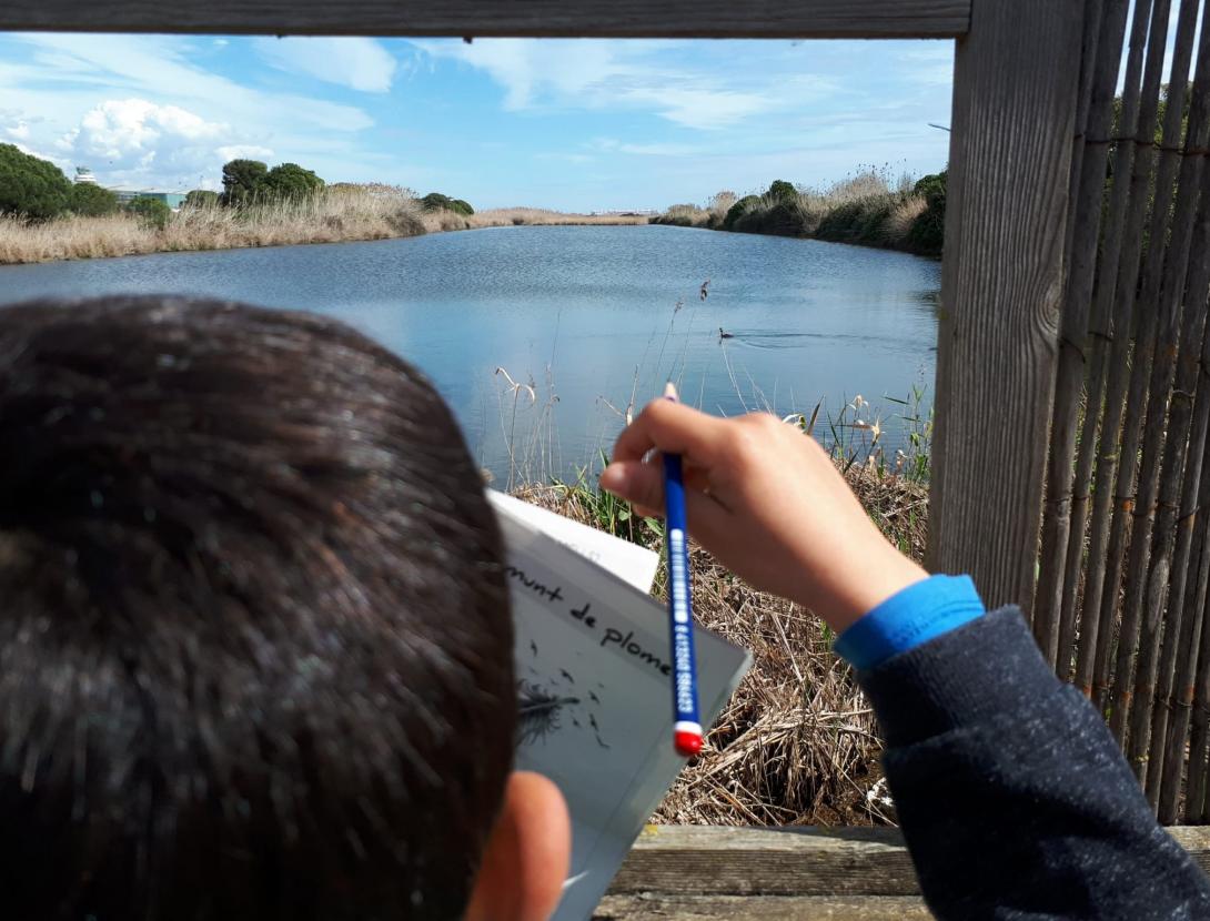 Quin munt de plomes!