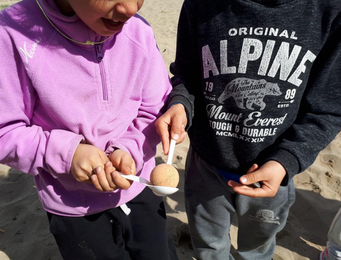 Quin munt de plomes!