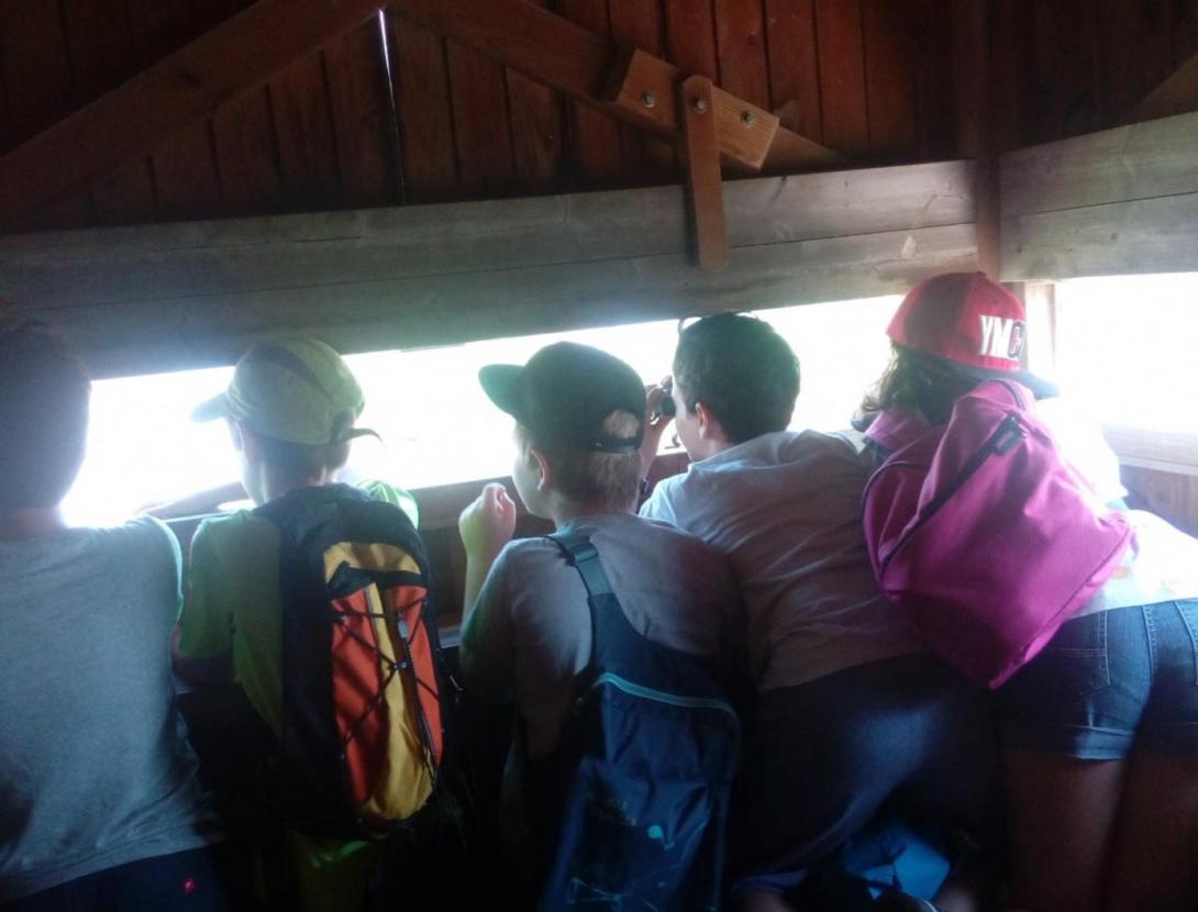 Investiguem el Remolar