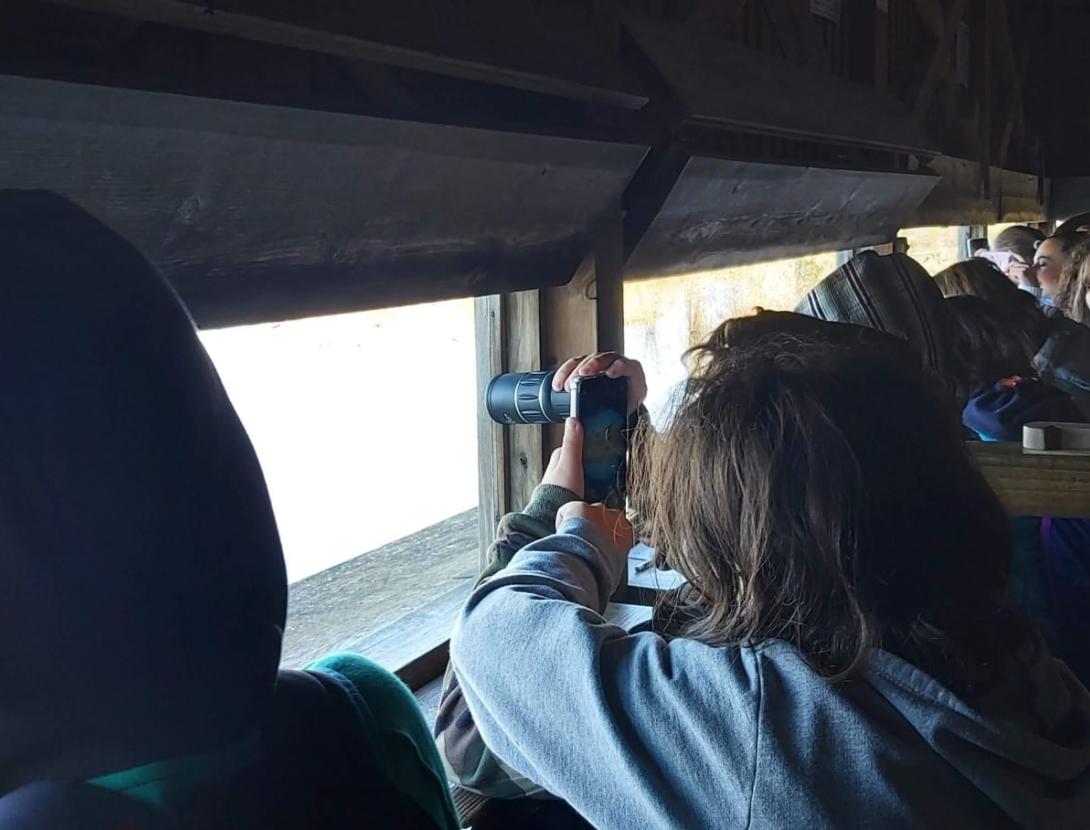 Investiguem el Remolar