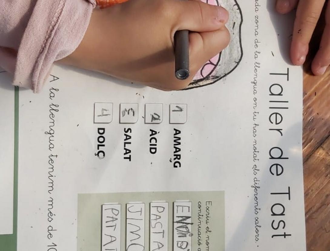 Arrels, fulles, fruits...quin menjar!