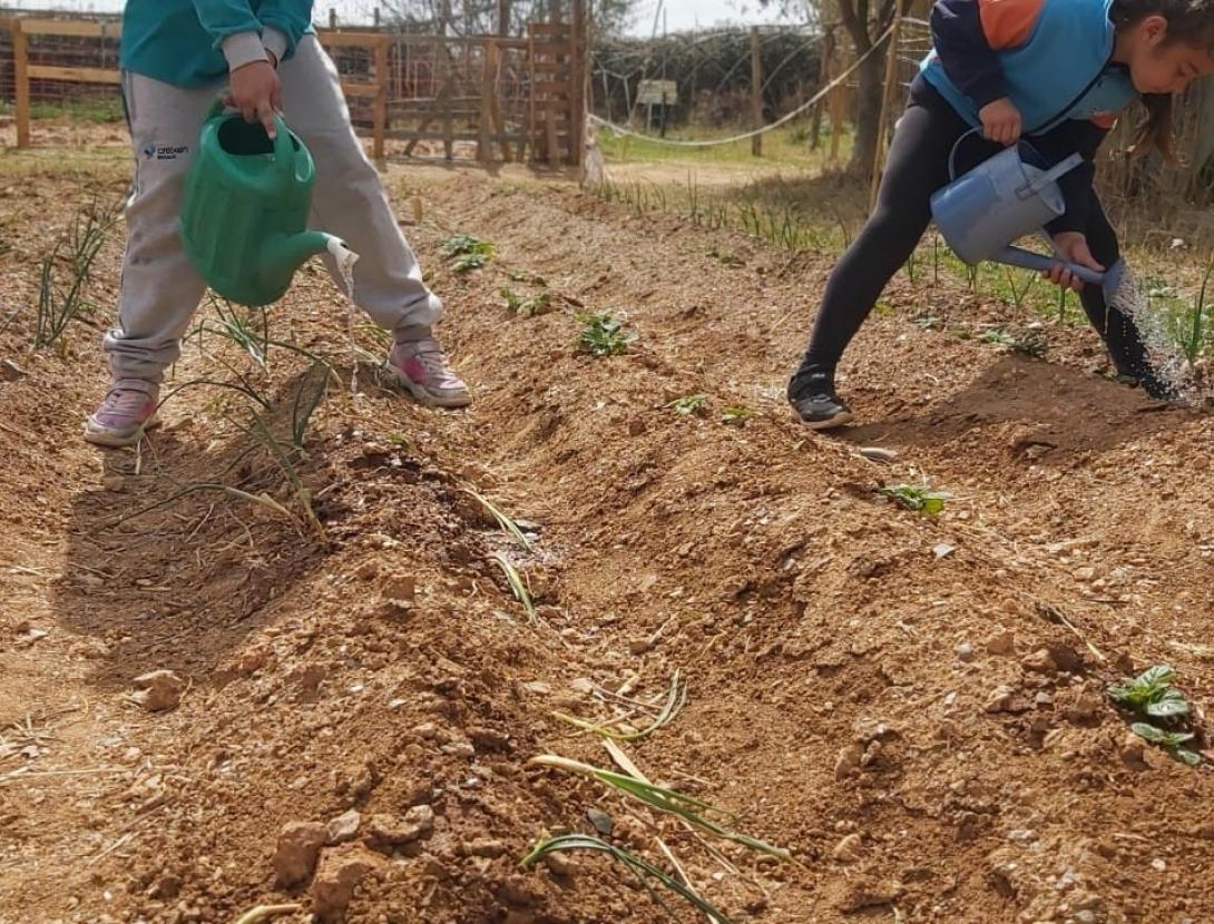 El Delta agrícola i natural a peu i en bici