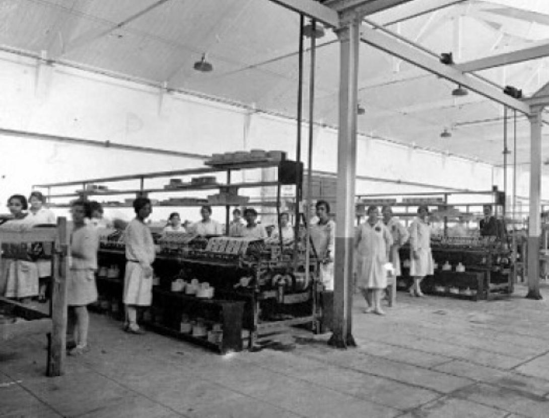 Passejada de descoberta: La petjada de les dones