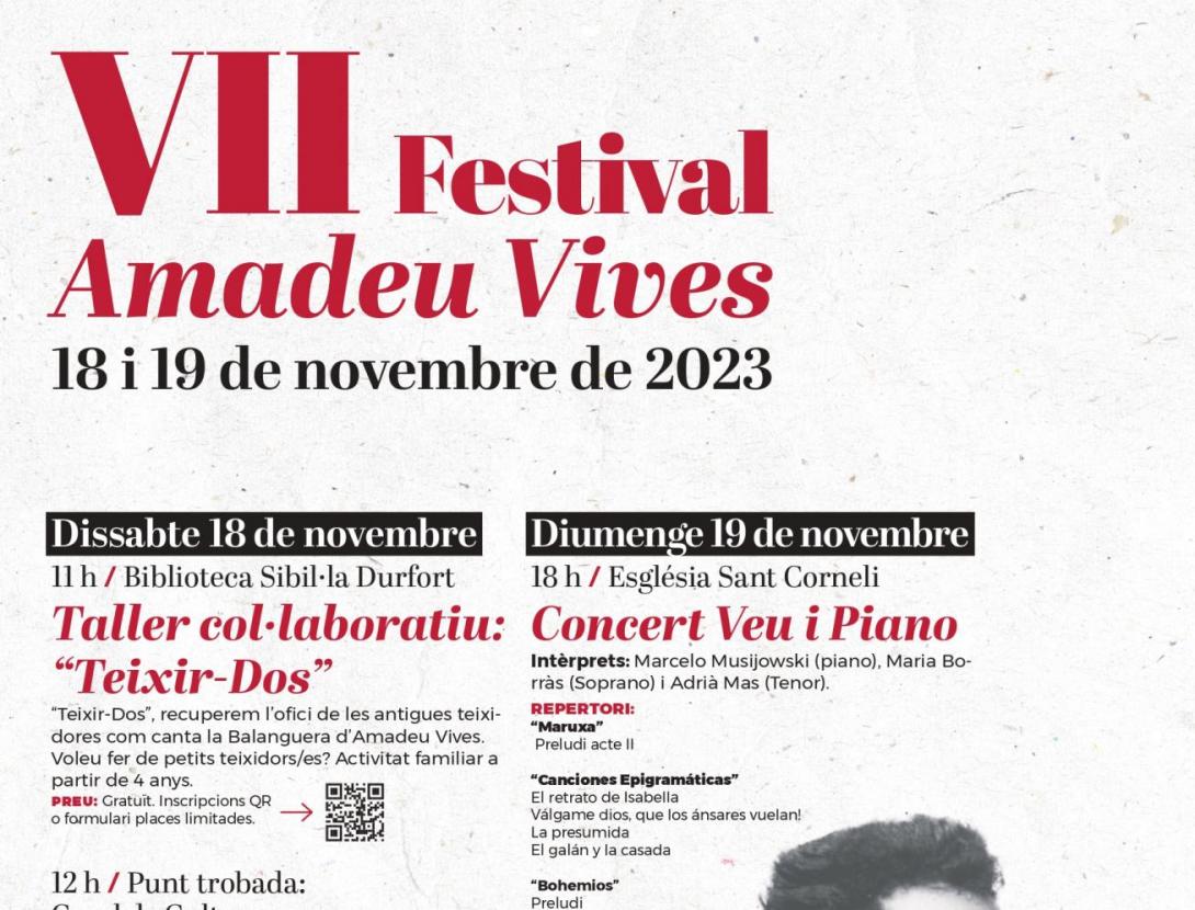 VII FESTIVAL AMADEU VIVES