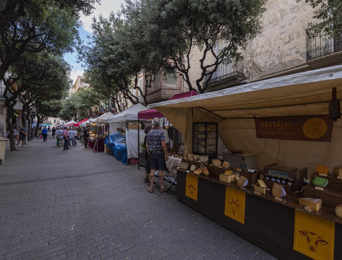 Visita arquitectònica a la Torre Lluc