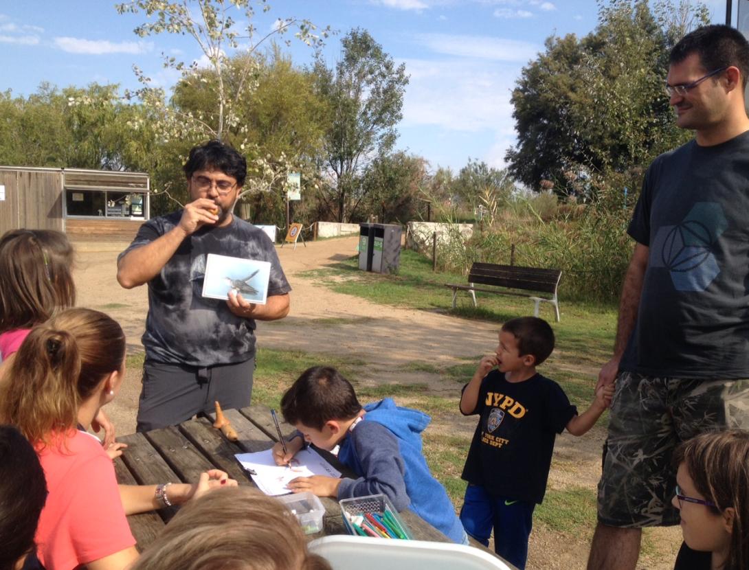 Com piulen el Pit Roig i els seus amics ?