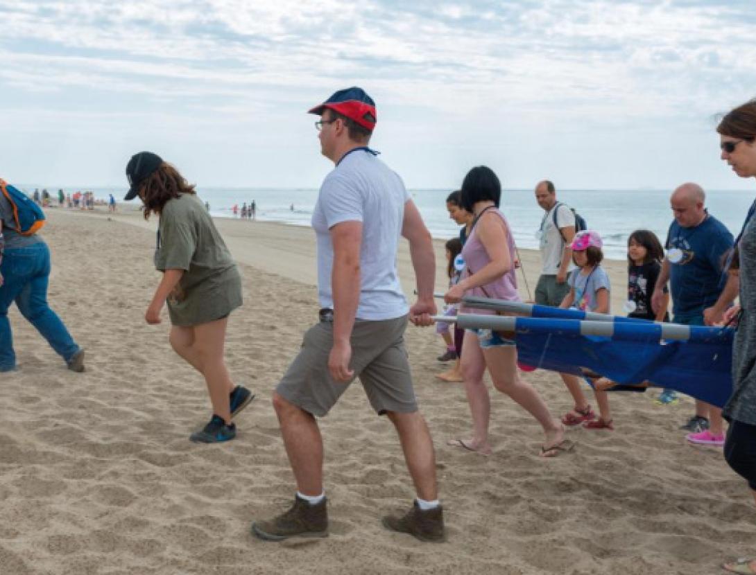 Jugateca de la platja: El dofí Ulisses necessita ajuda!