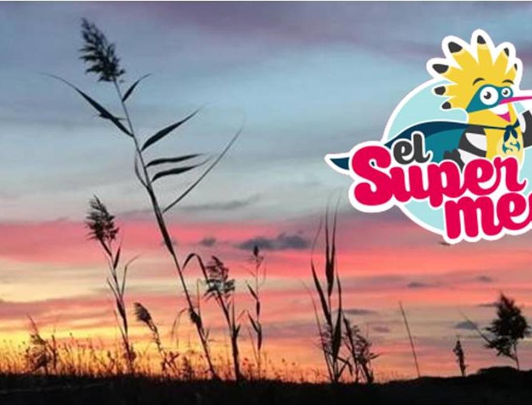 Nit de jocs familiar ACTIVITAT NOCTURNA