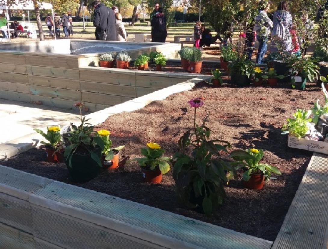 Vols conèixer quines papallones podem trobar als parcs del Prat ?