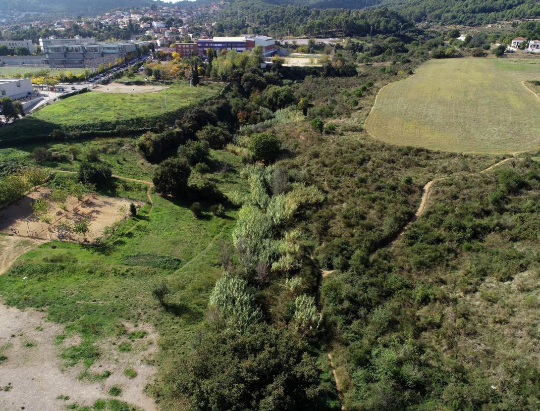Sortida guiada: Riera de Can Soler, els boscos a tocar de casa