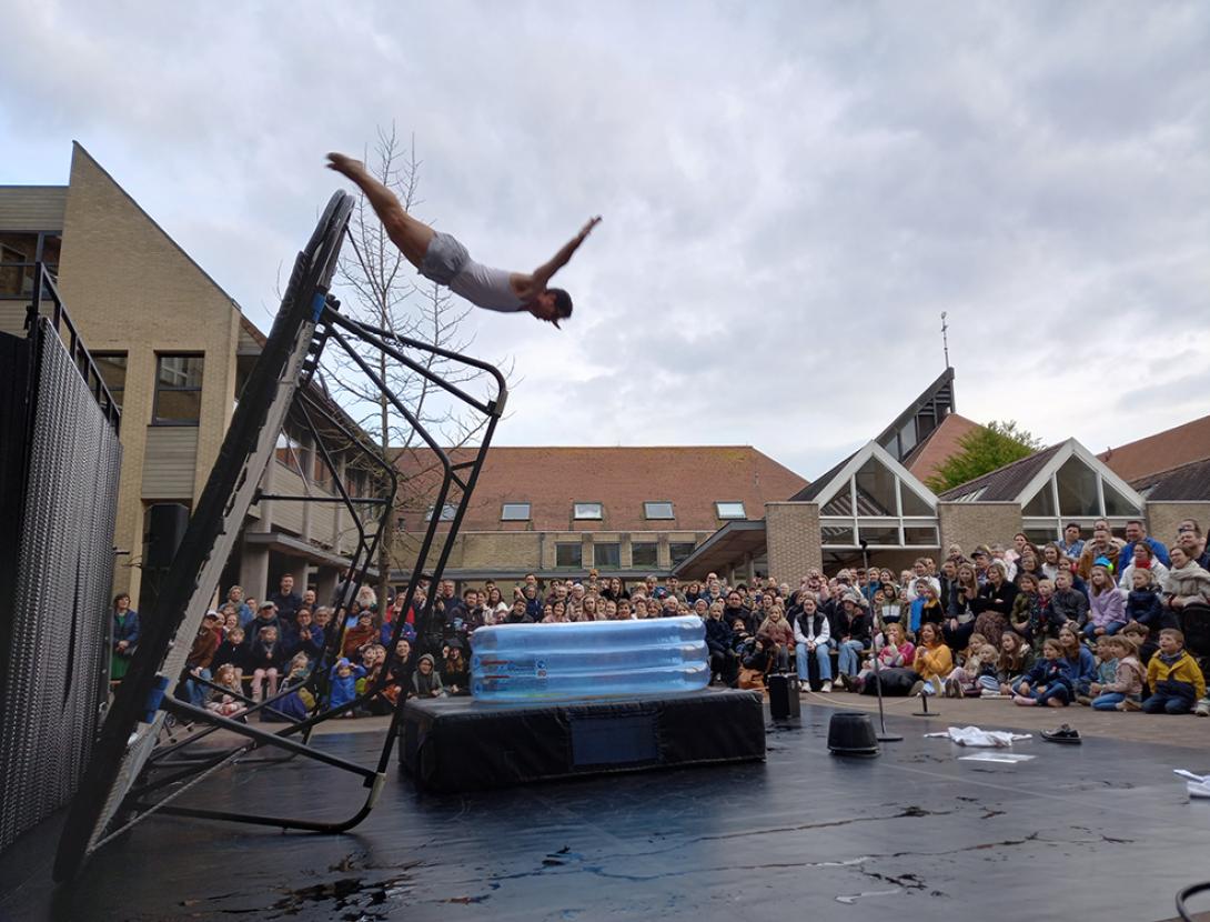 PLANETA TRAMPOLÍ. Back 2 Classics