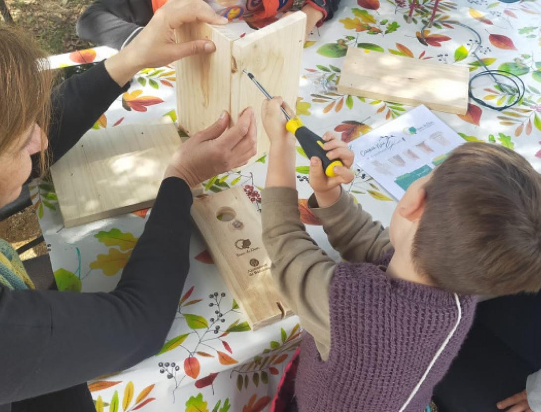 Jugateca del parc Nou: Fem caixes niu i menjadores