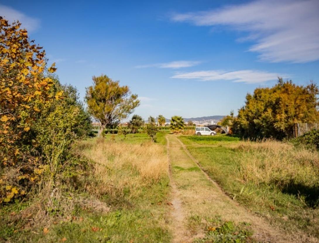 Vols conèixer la Finca de la Marina?